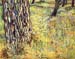 Tree trunks by Van Gogh