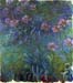 Jewelry lilies by Monet