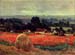 The poppy Blumenfeld (The barn) by Monet